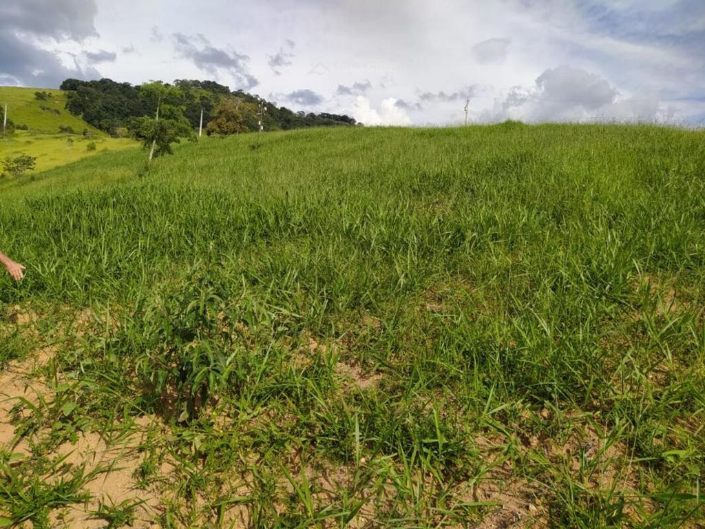 Terreno à venda em Córrego do Bom Jesus, MG — foto 8