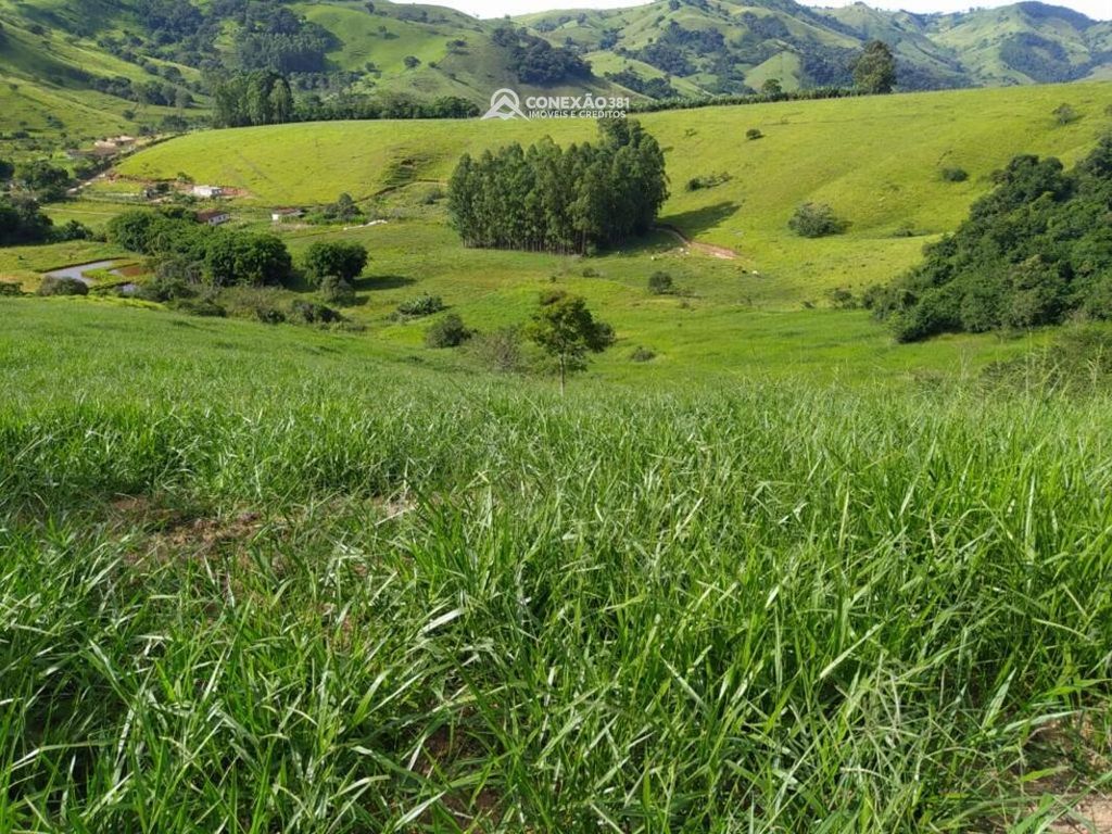 Terreno à venda em Córrego do Bom Jesus, MG — foto 7