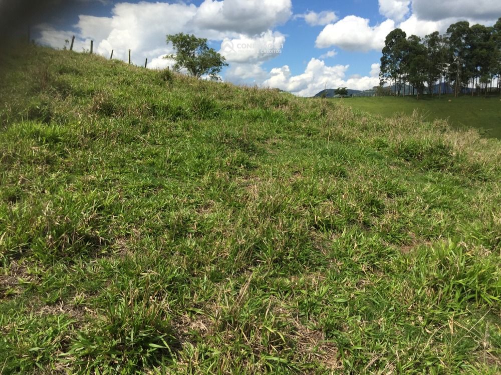 Terreno Rural à venda em Cambuí, MG — foto 7