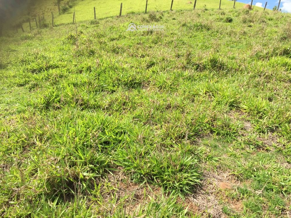 Terreno Rural à venda em Cambuí, MG — foto 8