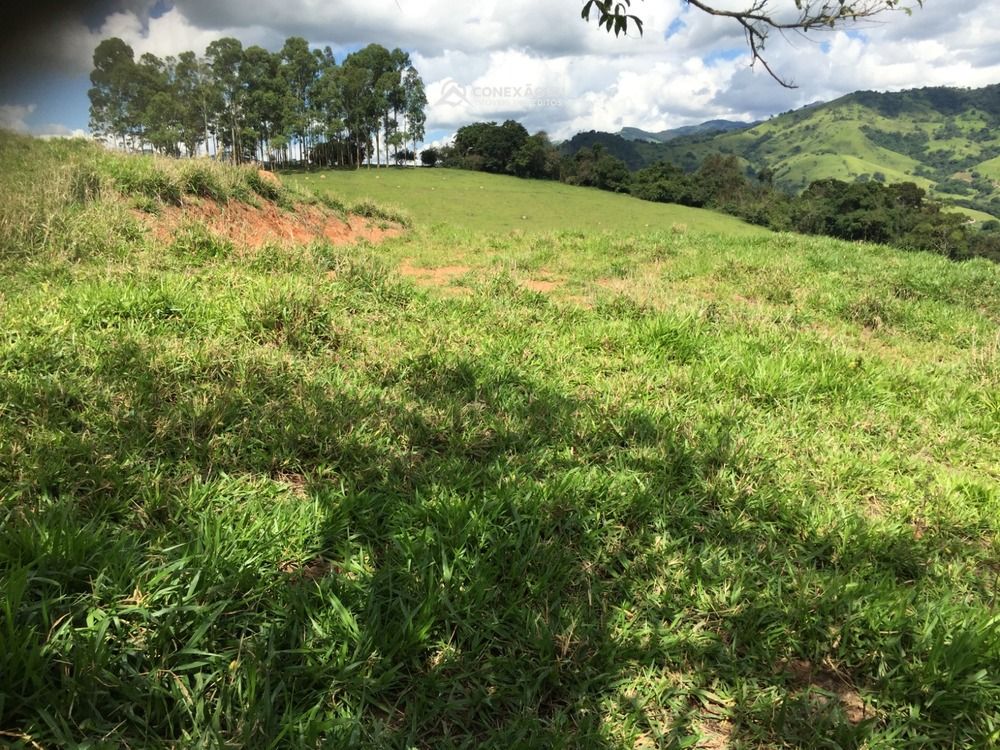 Terreno Rural à venda em Cambuí, MG — foto 17