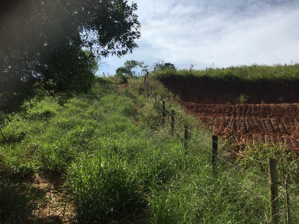 Terreno Rural à venda em Cambuí, MG — foto 18