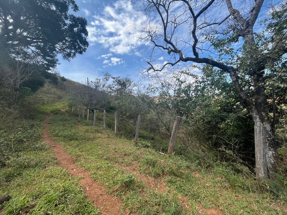 Terreno à venda em Cambuí, MG — foto 15