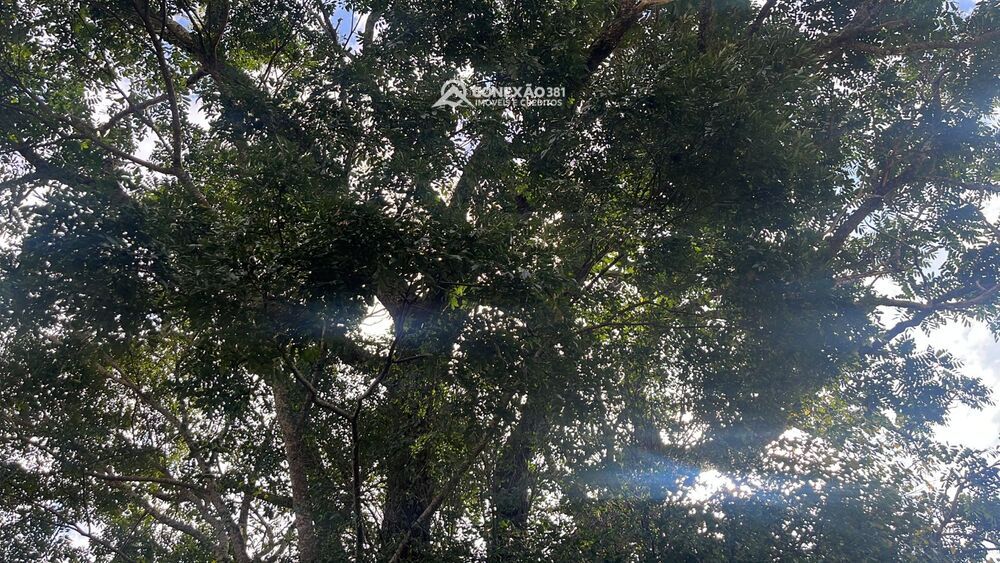 Terreno à venda em Cambuí, MG — foto 29