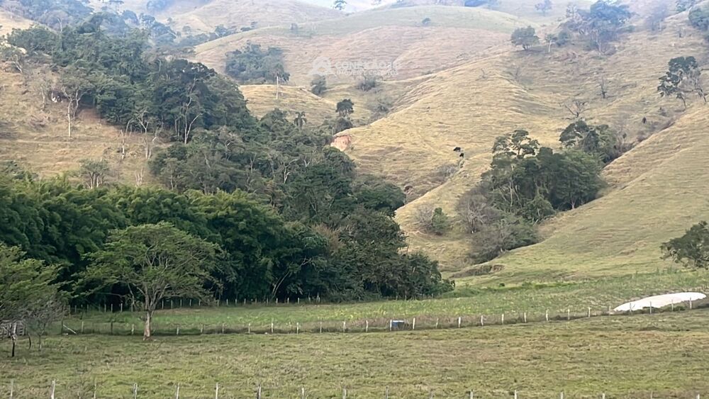 Terreno à venda em Cambuí, MG 4421 — foto 5
