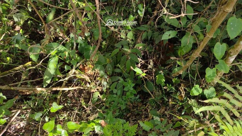 Chácara à venda em Córrego do Bom Jesus, MG — foto 6