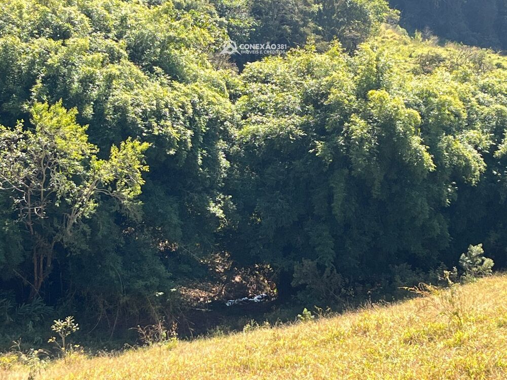 Terreno Rural à venda em Cambuí, MG — foto 24
