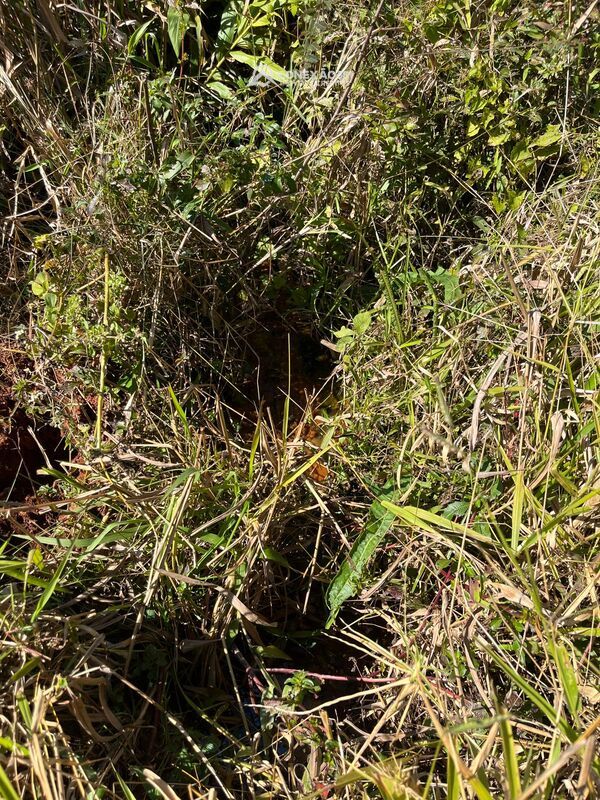 Terreno Rural à venda em Cambuí, MG — foto 26