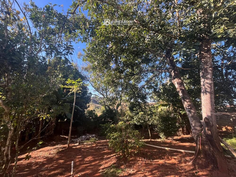 Chácara à venda em Cambuí, MG — foto 29