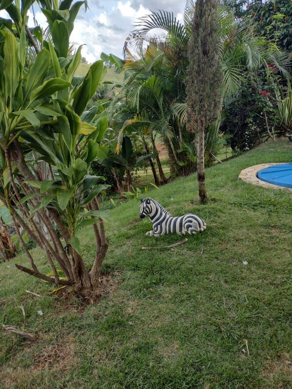 Chácara à venda em Cambuí, MG — foto 15