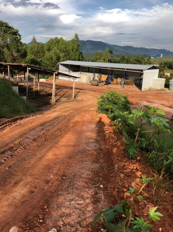 Fazenda à venda em Estiva, MG 2591 — foto 10