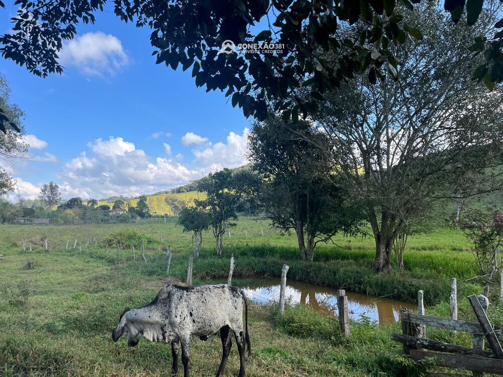 Sítio à venda em Cambuí, MG 2270 — foto 14