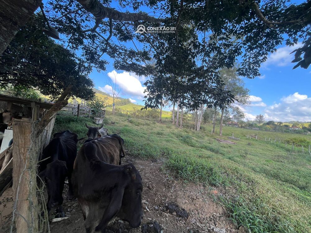 Sítio à venda em Cambuí, MG 2270 — foto 13