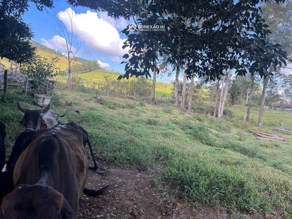 Sítio à venda em Cambuí, MG 2270 — foto 12