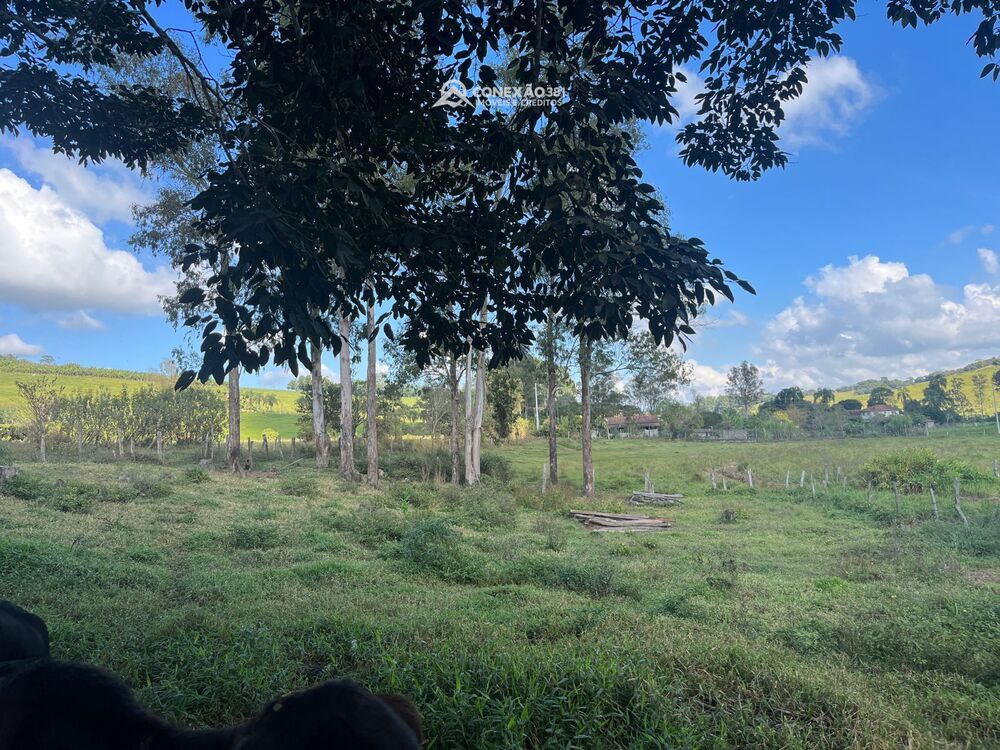 Sítio à venda em Cambuí, MG 2270 — foto 15
