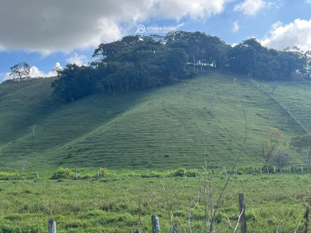 Sítio à venda em Cambuí, MG 2270 — foto 23