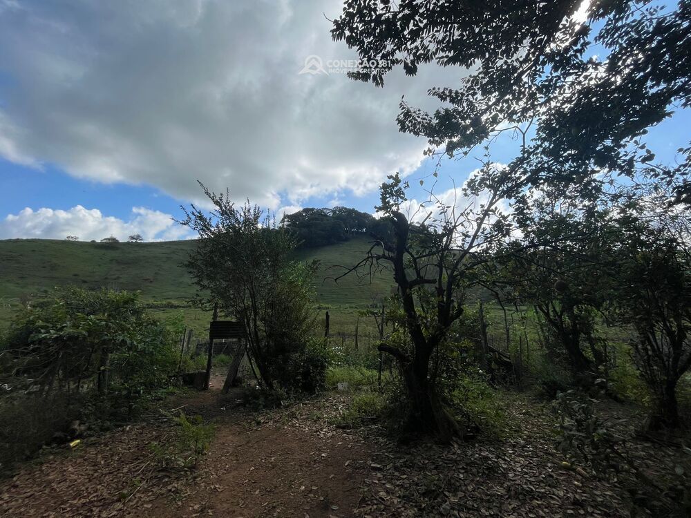 Sítio à venda em Cambuí, MG 2270 — foto 24