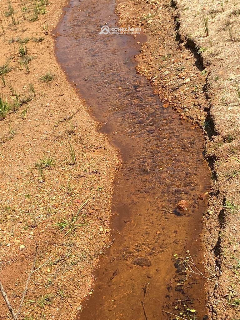 Sítio à venda em Camanducaia, MG — foto 8
