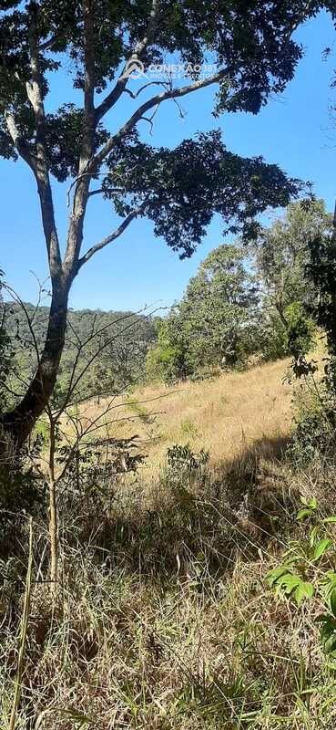 Terreno à venda em Bueno Brandão, MG — foto 4