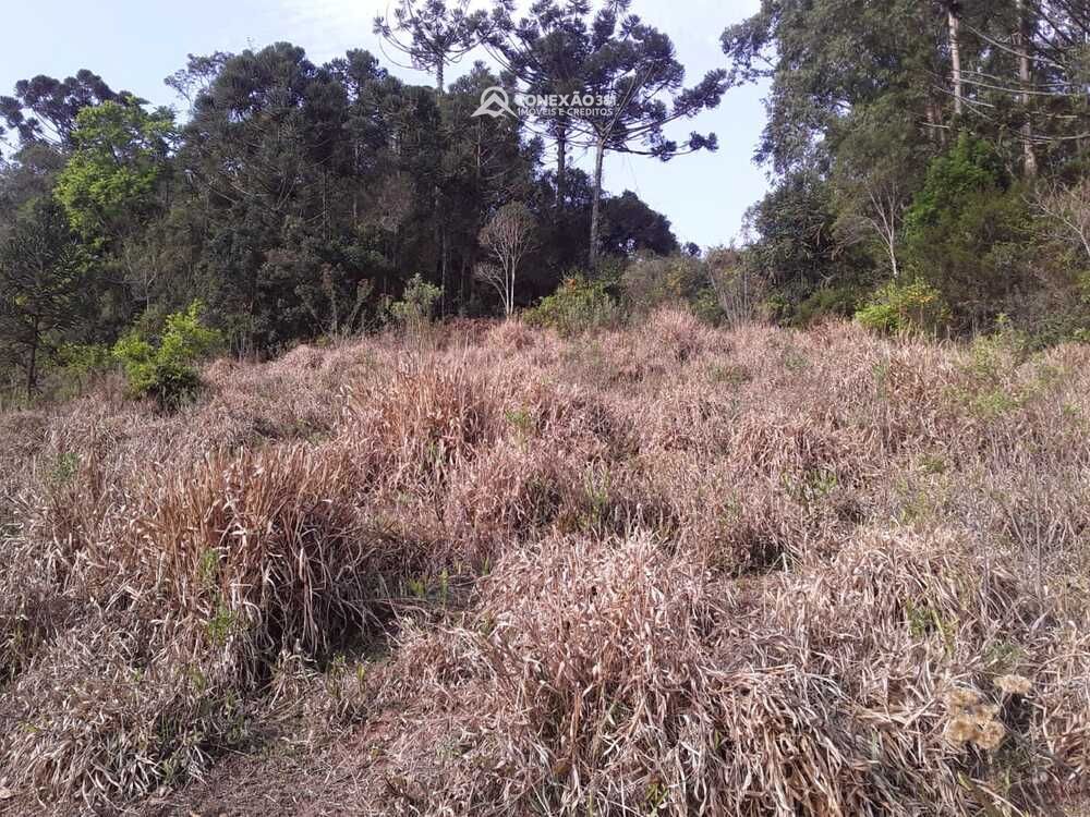 Terreno à venda em Córrego do Bom Jesus, MG — foto 9