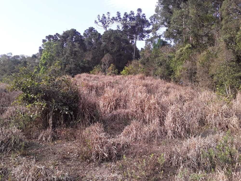 Terreno à venda em Córrego do Bom Jesus, MG — foto 12