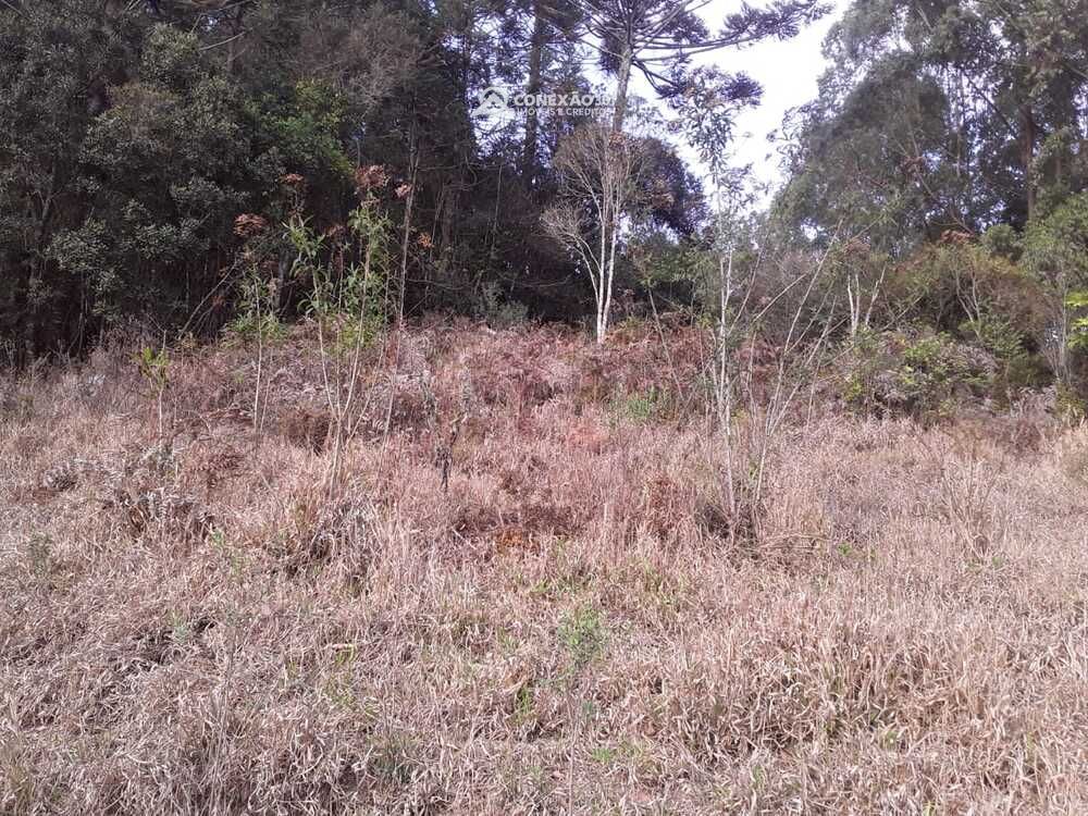 Terreno à venda em Córrego do Bom Jesus, MG — foto 15