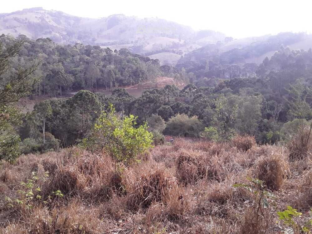 Terreno à venda em Córrego do Bom Jesus, MG — foto 11