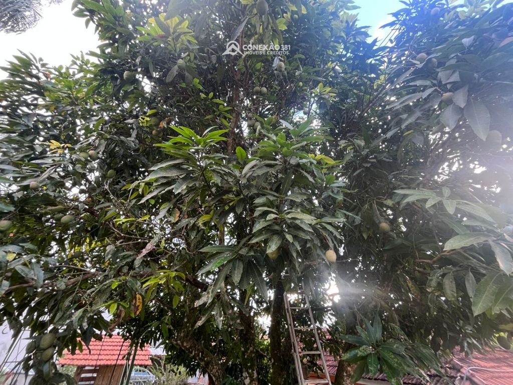 Chácara à venda em Cambuí, MG — foto 21