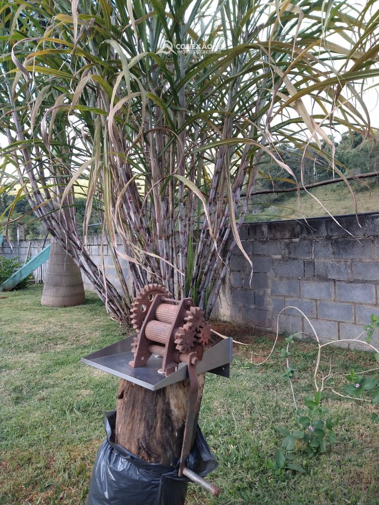 Chácara à venda em Cambuí, MG — foto 39