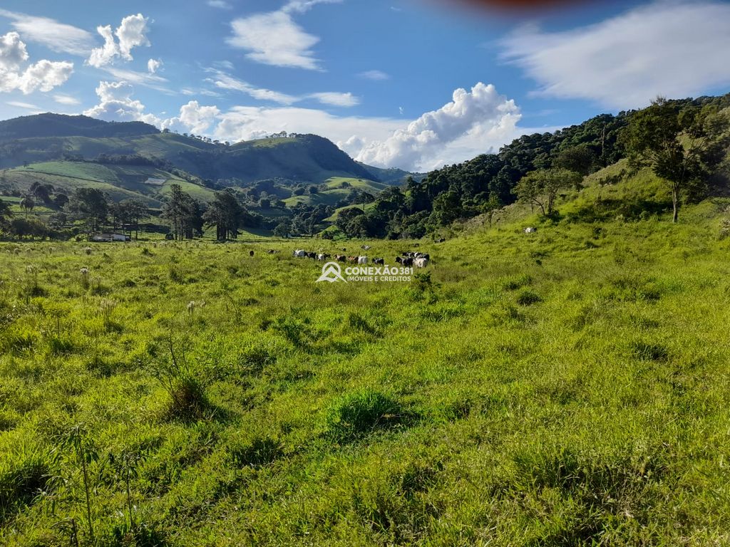 Terreno à Venda em Cambuí/MG – 18 Alqueires — foto 34