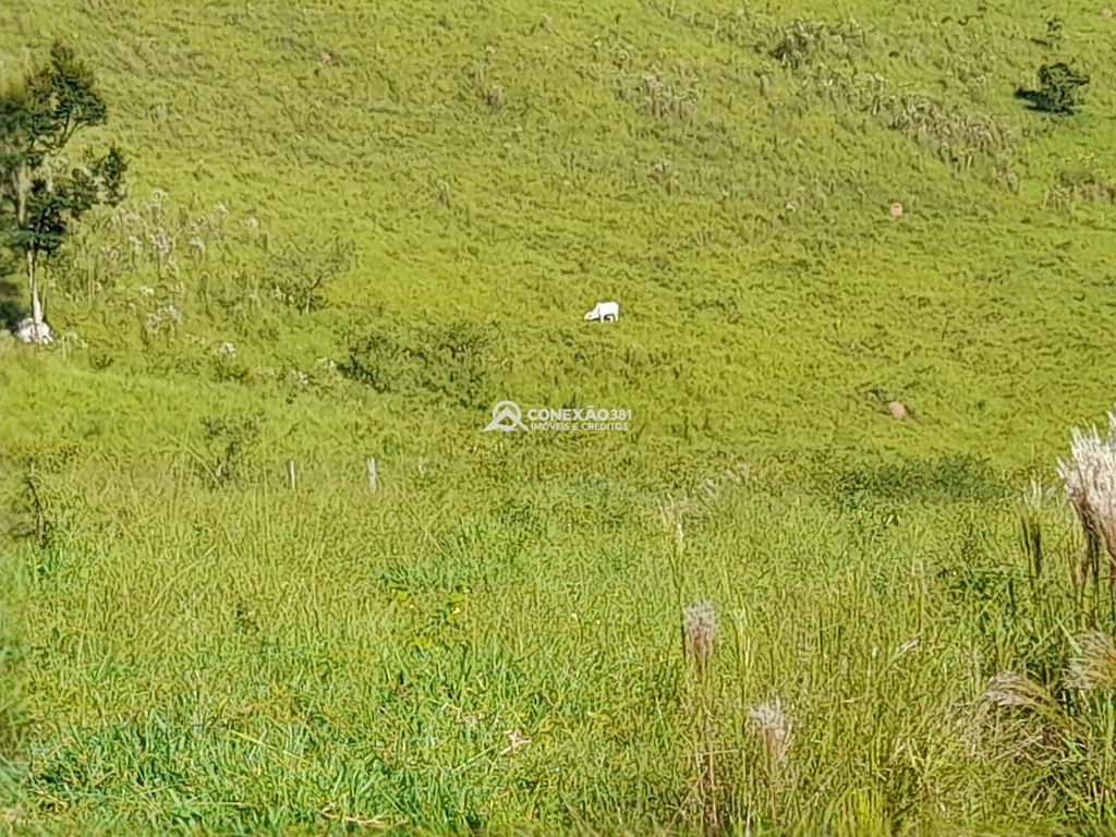 Terreno à Venda em Cambuí/MG – 18 Alqueires — foto 11