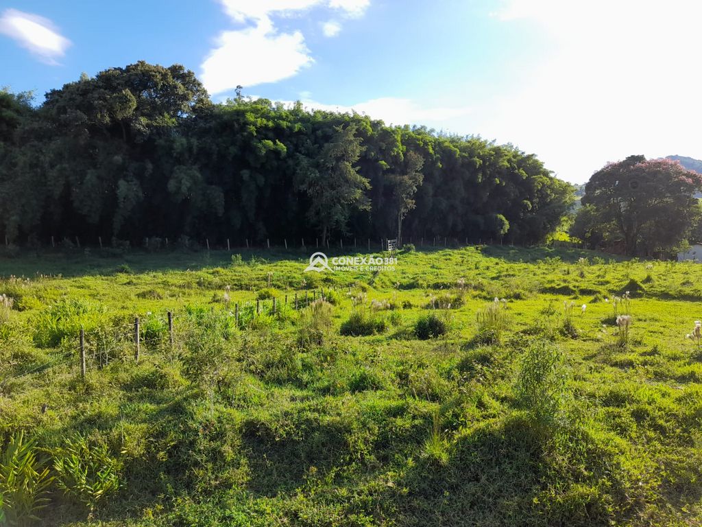 Terreno à Venda em Cambuí/MG – 18 Alqueires — foto 16