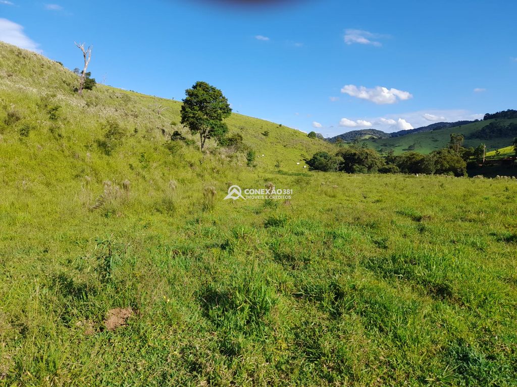 Terreno à Venda em Cambuí/MG – 18 Alqueires — foto 26
