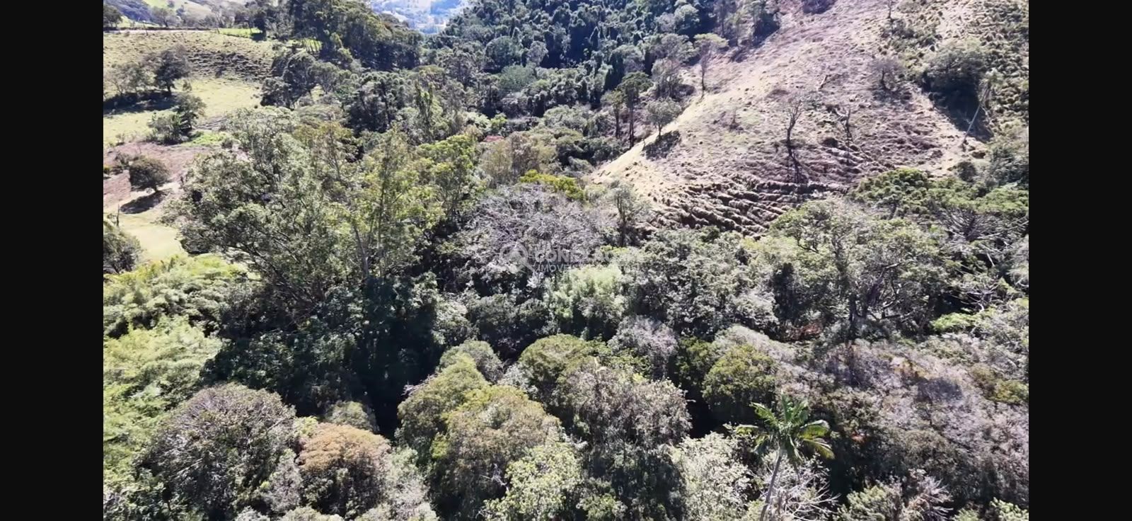 Terreno Rural à venda no Córrego do Bom Jesus, MG — foto 7