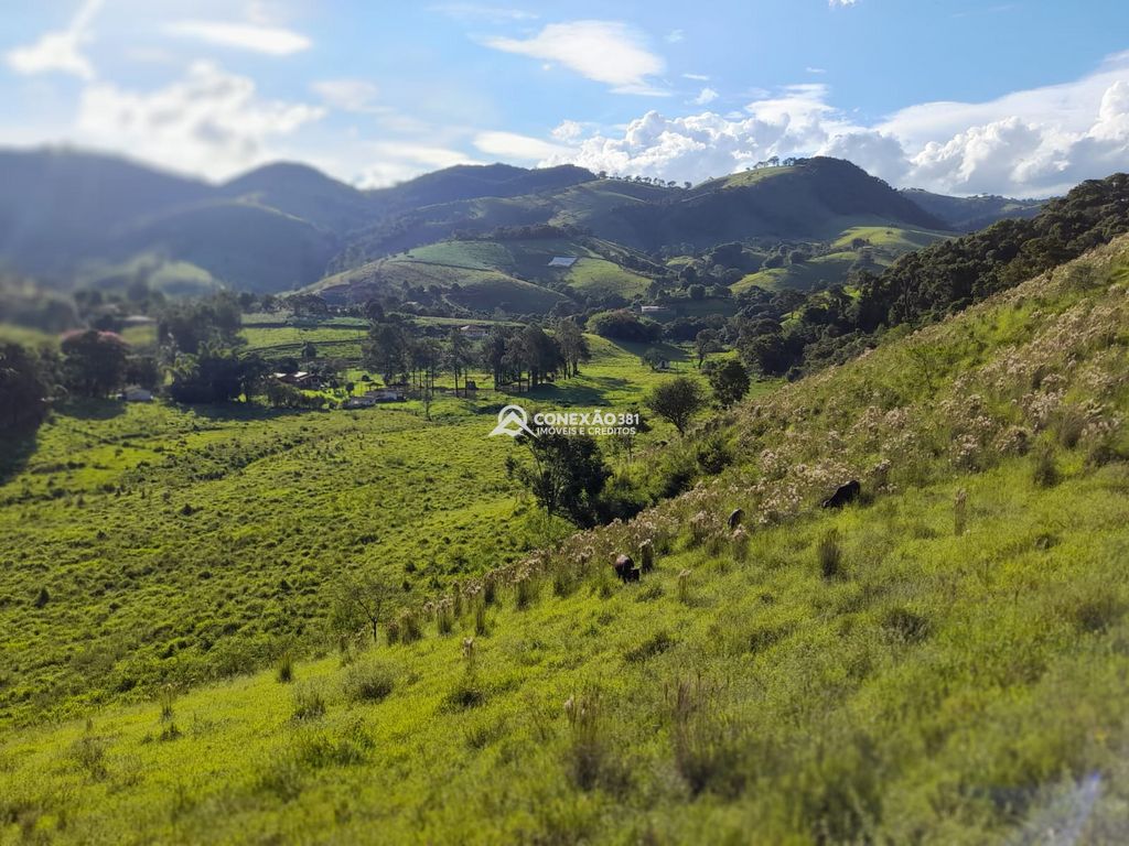 Terreno à Venda em Cambuí/MG – 18 Alqueires — foto 10