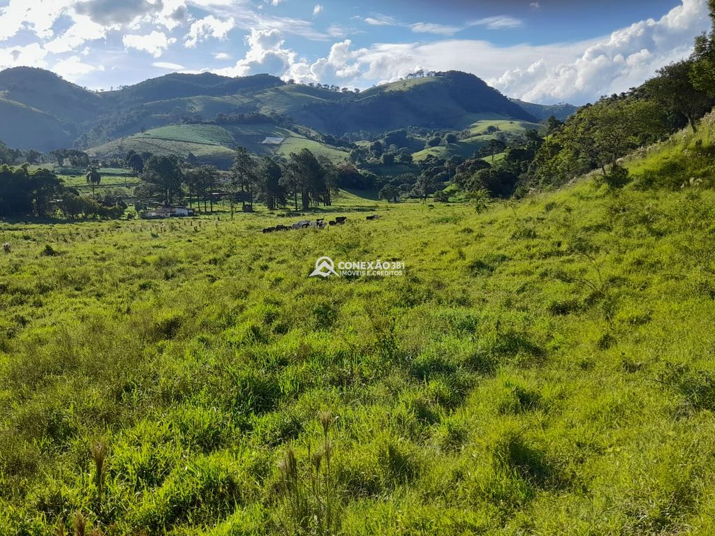 Terreno à Venda em Cambuí/MG – 18 Alqueires — foto 32