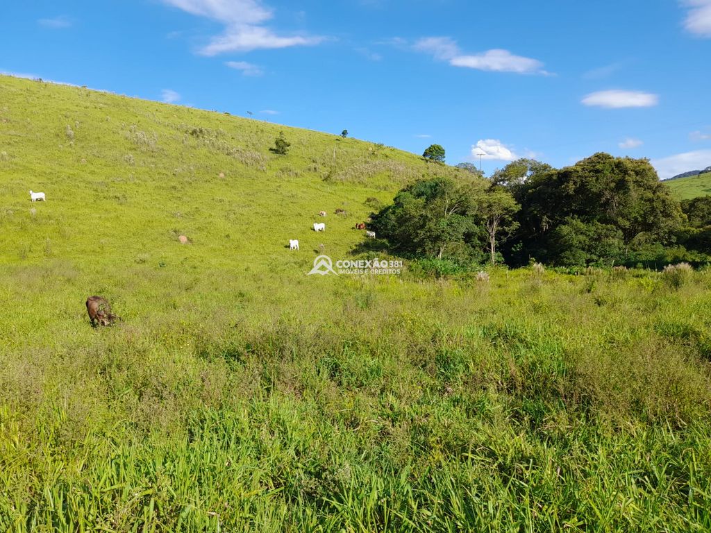 Terreno à Venda em Cambuí/MG – 18 Alqueires — foto 23