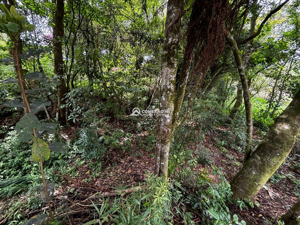 Chácara para Alugar em Cambuí, MG — foto 34