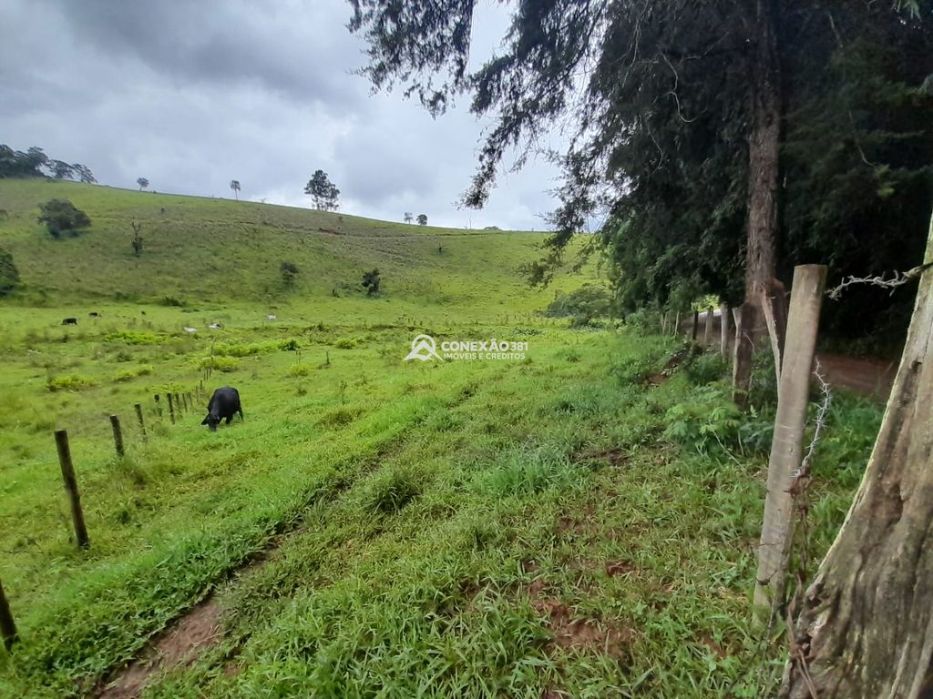 Terreno à Venda em Cambuí/MG – 18 Alqueires — foto 6