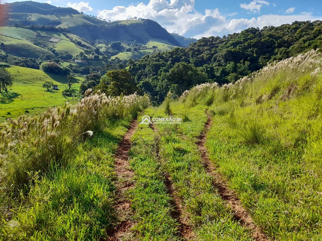 Terreno à Venda em Cambuí/MG – 18 Alqueires — foto 41