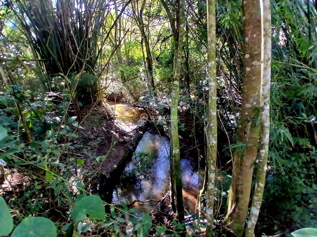 TERRENO RURAL Á VENDA EM EXTREMA,MG / — foto 4