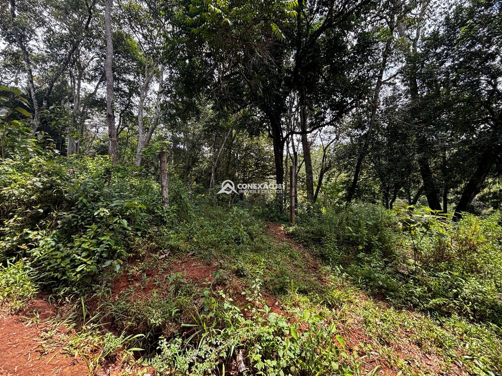 Terreno à venda em Cambuí/MG — foto 6