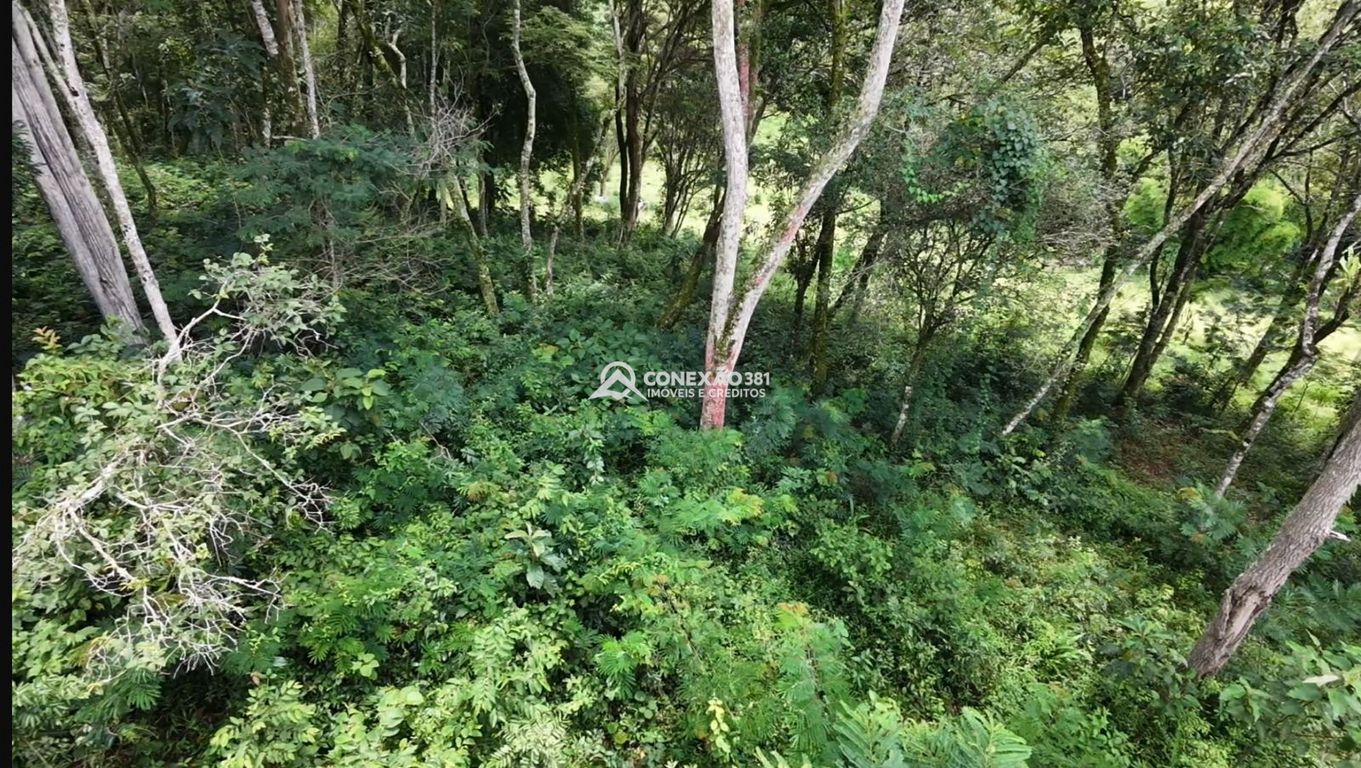 Terreno à venda em Cambuí/MG — foto 9