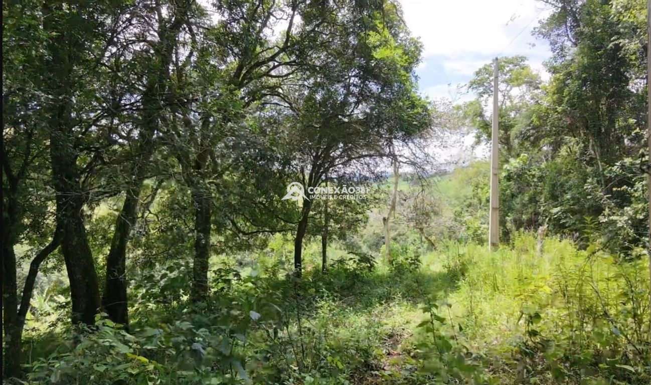 Terreno à venda em Cambuí/MG — foto 11