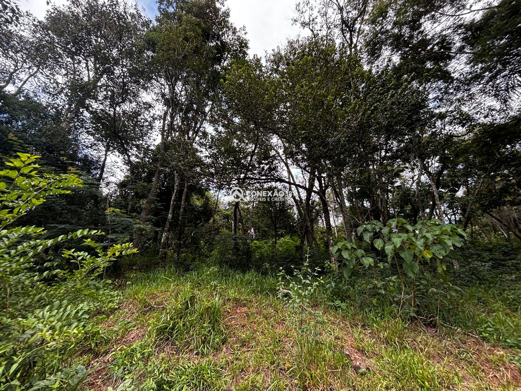 Terreno à venda em Cambuí/MG — foto 22