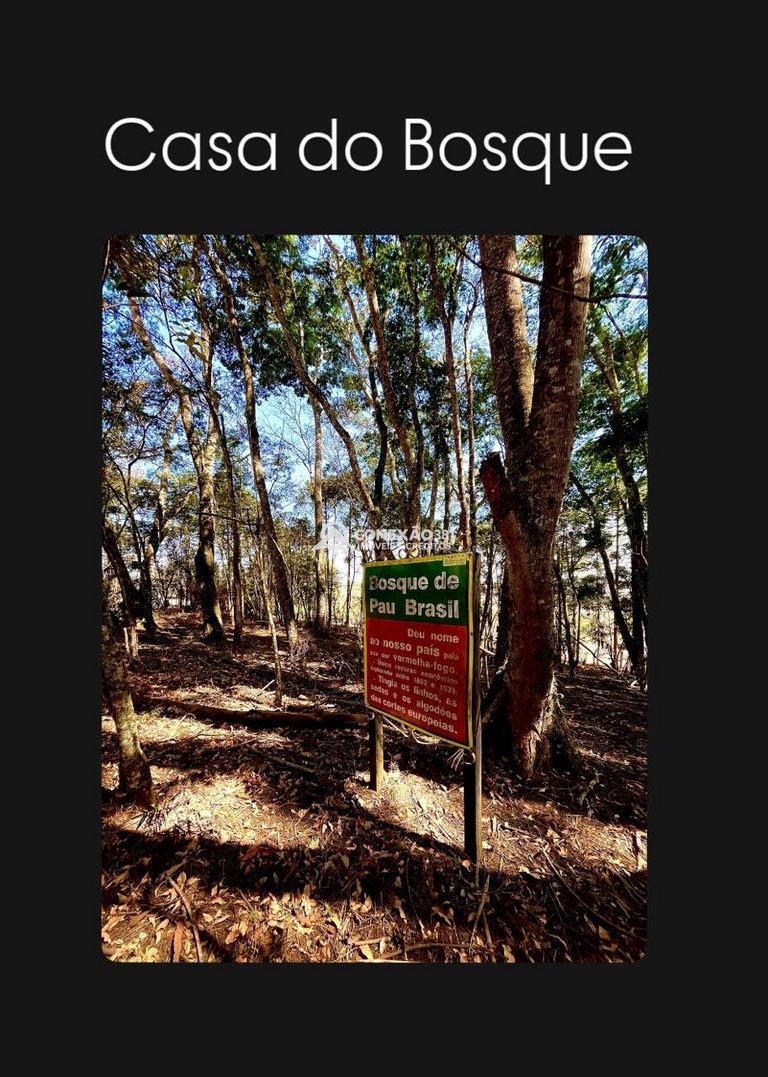 Sítio a venda em Cambuí/MG — foto 19