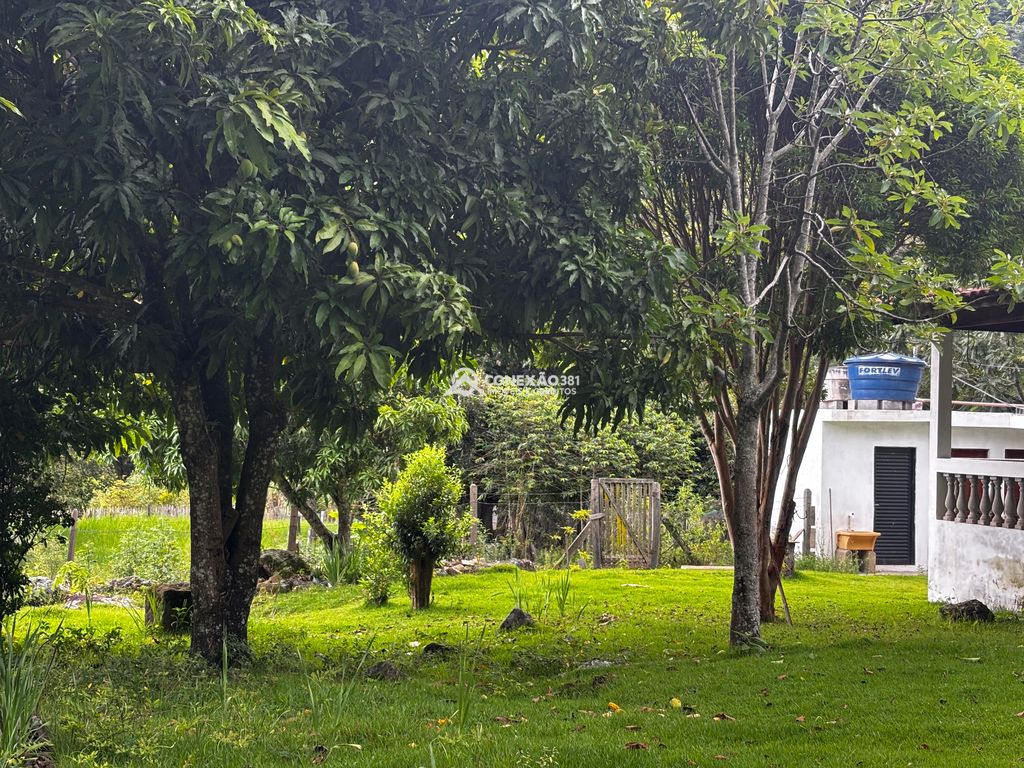 Excelente Propriedade com Riacho, Nascente e Área Verde Abundante — foto 4