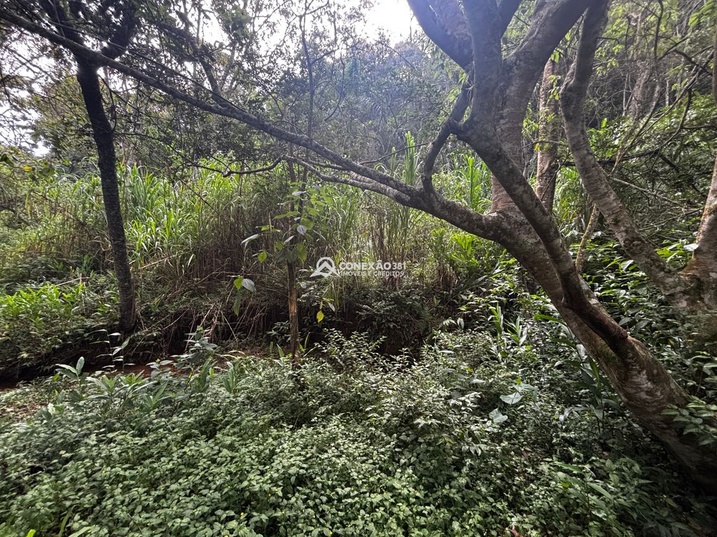 Excelente Propriedade com Riacho, Nascente e Área Verde Abundante — foto 39
