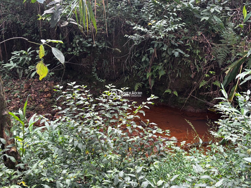 Excelente Propriedade com Riacho, Nascente e Área Verde Abundante — foto 40