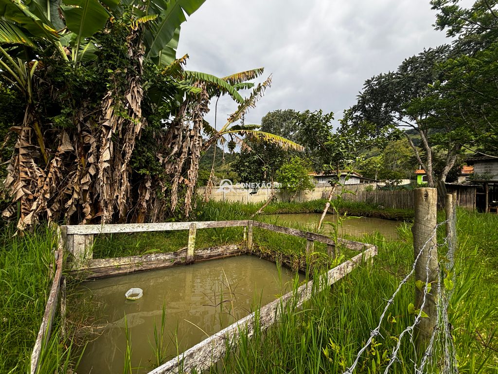 Excelente Propriedade com Riacho, Nascente e Área Verde Abundante — foto 45